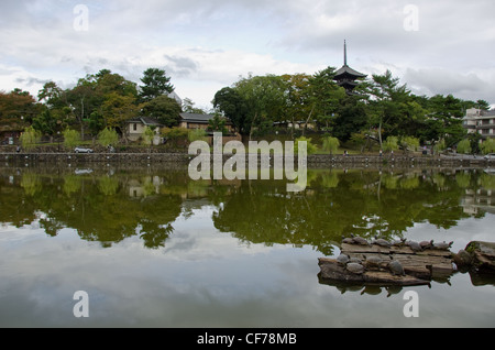 Weitwinkelaufnahme eines Sees in Nara, Japan mit Schildkröten in der Front und Pagode des Kofuku-ji-Tempel im Hintergrund Stockfoto