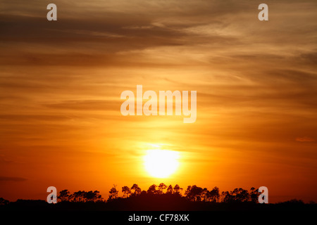 Die Sonne versinkt hinter einer Hängematte in Florida Everglades Nationalpark Stockfoto