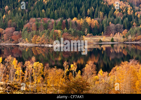 Farben des Herbstes spiegelt sich in Thirlmere Reservoir. Stockfoto