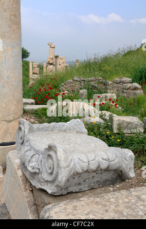 Detail der geschnitzten Hauptstadt einer Spalte in den Ruinen von Ephesus-Türkei mit Frühling Wildblumen Mohnblumen Stockfoto