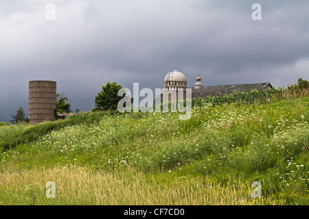 Minnesota amerikanische ländliche Landschaft mit dem Farmhaus eine Wiese von Common Cow Pastinaken Bilder von oben horizontal in den USA Hi-res Stockfoto