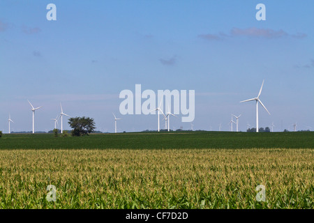 Amerikanisches Minnesota in den USA mit ländlicher Landwirtschaft und Windturbinen grüne Energie erneuerbare Energiequellen US-Daily Life-Fotos Bilder in hoher Auflösung Stockfoto