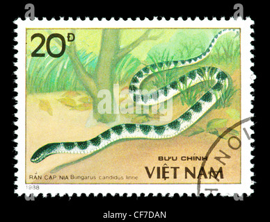 Briefmarke aus Vietnam, die Darstellung einer malaiischen Krait oder blauen Krait (Bungarus Candidus) Stockfoto