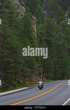American Black Hills National Forest South Dakota ein Fahrer fährt auf dem Motorrad sehr hochauflösendes vertikales Format in den USA High-Resolution Stockfoto