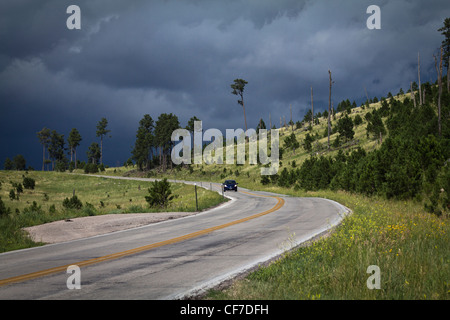 Custer State Park National Forest Black Hills South Dakota SD in den USA USA wunderschöne Landschaft mit den Straßenbildern horizontal hochauflösende Bilder Stockfoto