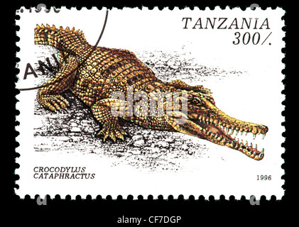 Briefmarke aus Tansania, die Darstellung eines afrikanischen Slender-snouted Krokodil (Crocodylus Cataphractus) Stockfoto