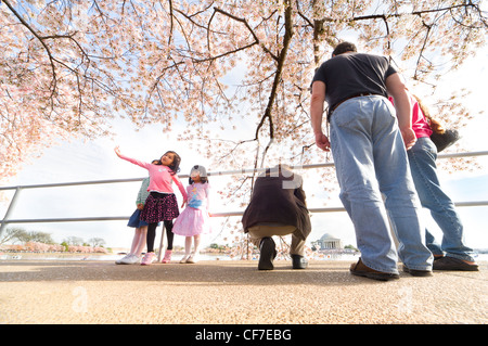 Drei kleine Mädchen posiert unter rosa Kirschblüten mit Jefferson Memorial. National Cherry Blossom Festival Washington DC D C Stockfoto