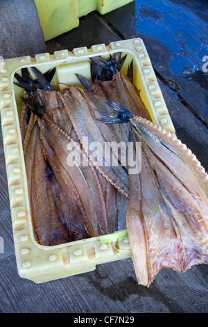 Verrundete Snoek zum Verkauf in Kalk Bay - Kapstadt Stockfoto