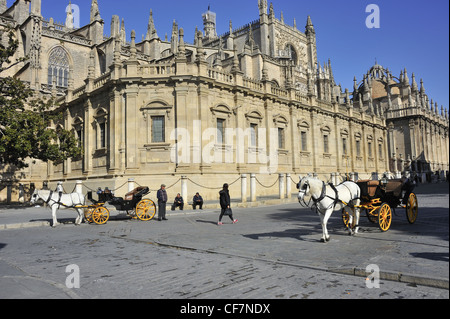 Pferdekutschen vor der Kathedrale von Sevilla, Spanien Stockfoto