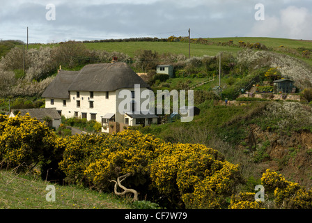 Eine ungewöhnliche dreigeschossigen Reetdachhaus in der Nähe von Kirche Cove.  Das Gebäude, bekannt als Seefahrer war einst ein Kiddywink oder Bierstube. Stockfoto