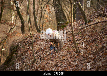 Kinder spielen im herbstlichen Wald Stockfoto