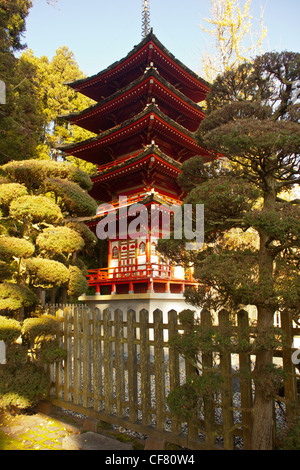 Japanische Gärten im golden Gate Park, San Francisco, Kalifornien, Usa. Stockfoto