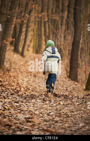 Kinder spielen im herbstlichen Wald Stockfoto