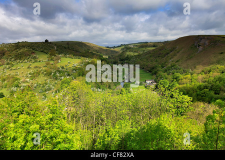 Sommer-Blick über das Tal des Flusses Wye aus Monsal Kopf Ausflugsort, Peak District National Park, Derbyshire Dales, England Stockfoto