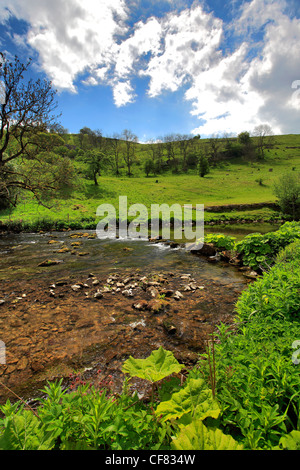 Sommer-Blick durch Chee Dale am Fluss Wye, in der Nähe von Blackwell Dorf, Peak District National Park, Derbyshire Dales, England Stockfoto