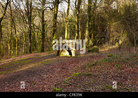 Gwal y Filiast neolithische Grab, Carmarthenshire, West Wales, UK Stockfoto
