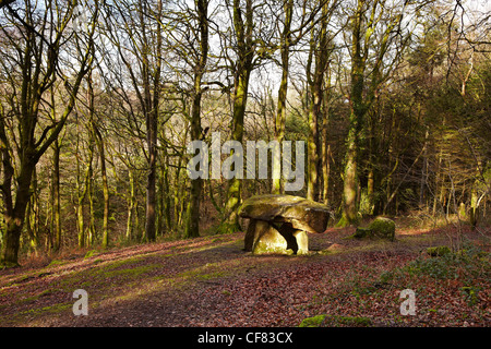 Gwal y Filiast neolithische Grab, Carmarthenshire, West Wales, UK Stockfoto