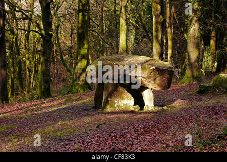 Gwal y Filiast neolithische Grab, Carmarthenshire, West Wales, UK Stockfoto