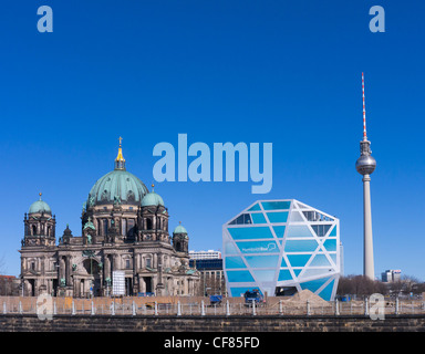 Blick auf Berliner Dom, Humboldt-Box und Fernsehturm in Mitte Berlin Deutschland Stockfoto