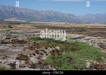 Tulbach Landschaft Stockfoto