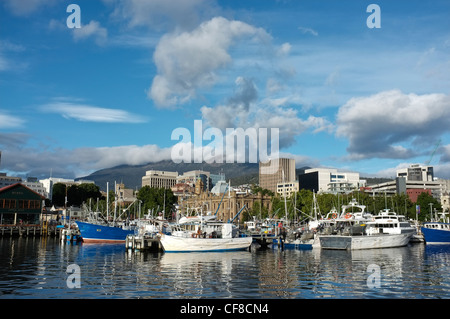 Angelboote/Fischerboote am Franklin Wharf, Mount Wellington in der Ferne, Hobart, Tasmanien Stockfoto