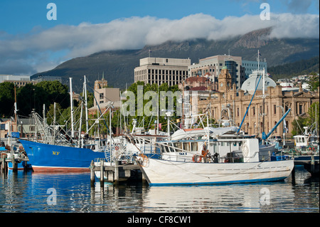 Angelboote/Fischerboote am Franklin Wharf, Mount Wellington in der Ferne, Hobart, Tasmanien Stockfoto