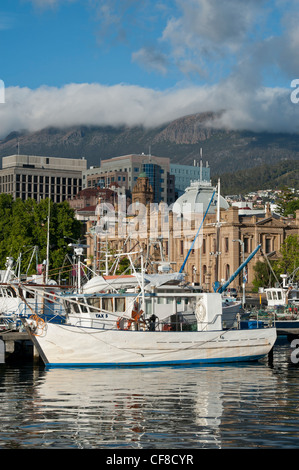 Angelboote/Fischerboote am Franklin Wharf, Mount Wellington in der Ferne, Hobart, Tasmanien Stockfoto