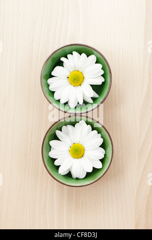 Chrysanthemen im grünen Keramikschalen schweben Stockfoto