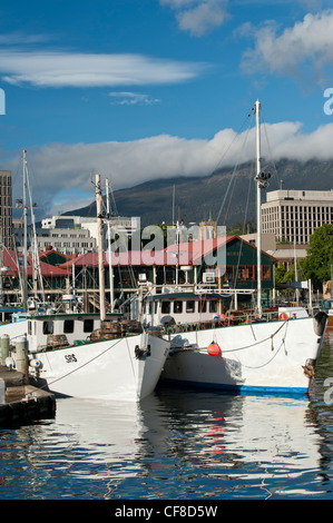 Angelboote/Fischerboote am Franklin Wharf, Mount Wellington in der Ferne, Hobart, Tasmanien Stockfoto