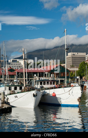 Angelboote/Fischerboote am Franklin Wharf, Mount Wellington in der Ferne, Hobart, Tasmanien Stockfoto