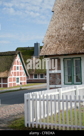 In Jork zeigt das Museum "Altes Land" das reiche Erbe in einem traditionellen Bauernhaus mit weißen Eingangstor Stockfoto