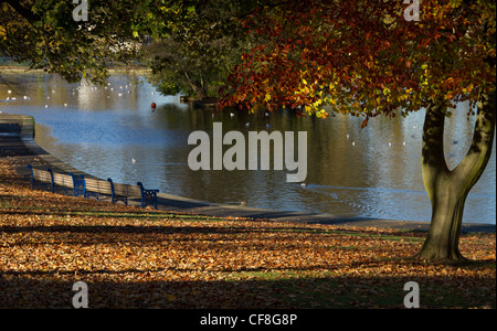 Lister Park Bootfahren See im Herbst, Manningham, Bradford. Bradford. Stockfoto