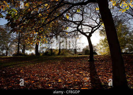 Lister Park, Manningham, Bradford, West Yorkshire; im Herbst. Stockfoto