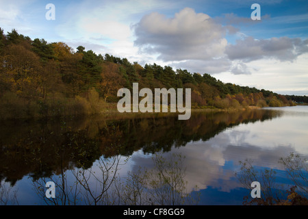 Ogden Wasser-Reservoir in der Nähe von Halifax im Herbst. Stockfoto