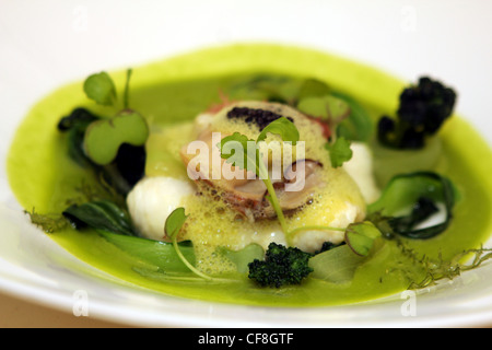 Wilde Cornish Brill, Jakobsmuschel, Kaviar Oscietra, Gurke und Wasabi Beurre Blanc von Raymond Blancs Le Manoir Aux Quat'Saisons Stockfoto