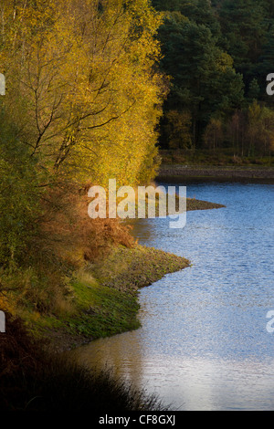 Ogden Wasser-Reservoir in der Nähe von Halifax West Yorkshire im Herbst. Stockfoto