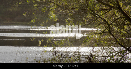 Ogden Wasser-Reservoir in der Nähe von Halifax West Yorkshire im Herbst. Stockfoto