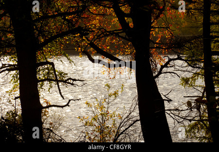 Ogden Wasser-Reservoir in der Nähe von Halifax West Yorkshire im Herbst. Stockfoto