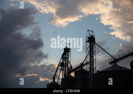 Sommerzeit-Gewitterwolken Rollen in über eine große Getreidesilo Komplex in Illinois. Stockfoto