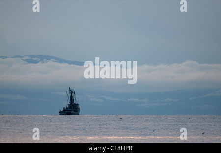 Hering Angelboote/Fischerboote arbeiten Georgia Straight, Vancouver Island. BC Kanada. SCO 8075 Stockfoto