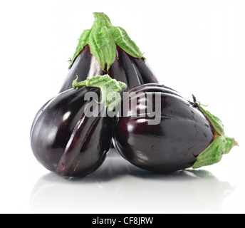 Auberginen auf weißem Hintergrund Stockfoto
