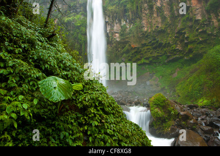 Tawangmangu, Indonesien, Asien, Java, Urwald, Dschungel, Regenwald, Natur, Gulch, Felsen, Klippe, Wasserfall, Natur, Wasser, Stockfoto