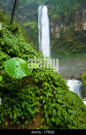 Tawangmangu, Indonesien, Asien, Java, Urwald, Dschungel, Regenwald, Natur, Gulch, Felsen, Klippe, Wasserfall, Natur, Wasser, Stockfoto