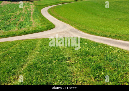 2 Wege einem Zweck, Ziel, Straße, Wiese, zwei Möglichkeiten, gemeinsam, Kreuzung, Kreuzung, Straße Gabel, Zweck, Ziel, S Stockfoto