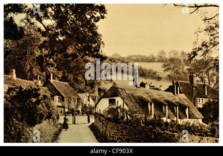 Holford Dorf Quantock Hills Stroh Reetdachhaus Dach Haus landschaftlich malerische Somerset South West England Europa UK Tourismus Stockfoto