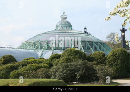 Belgien, Brüssel, Laeken, die Königsburg-Domäne, die Gewächshäuser von Laeken im Frühjahr, Wintergarten. Stockfoto