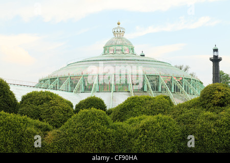 Belgien, Brüssel, Laeken, die Königsburg-Domäne, die Gewächshäuser von Laeken im Frühjahr, Wintergarten. Stockfoto