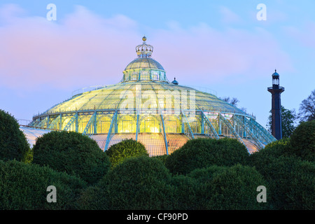 Belgien, Brüssel, Laeken, die Königsburg-Domäne, die Gewächshäuser von Laeken im Frühjahr, der Wintergarten in der Nacht. Stockfoto