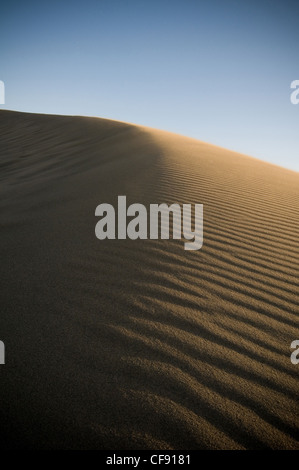 Düne Dünen der Wüste Wüsten sandigen trockenen verschieben Stockfoto