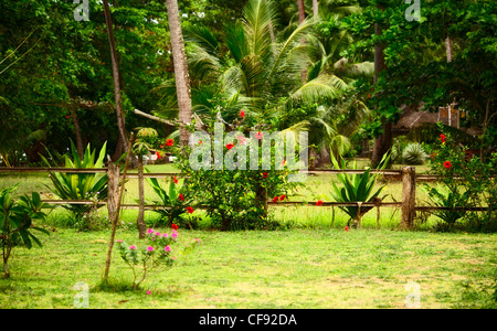traditionelle thailändische Natur, grüne Gräser und Blumen Stockfoto